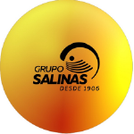 grupo_salinas Home