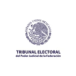 tribunal-electoral Home