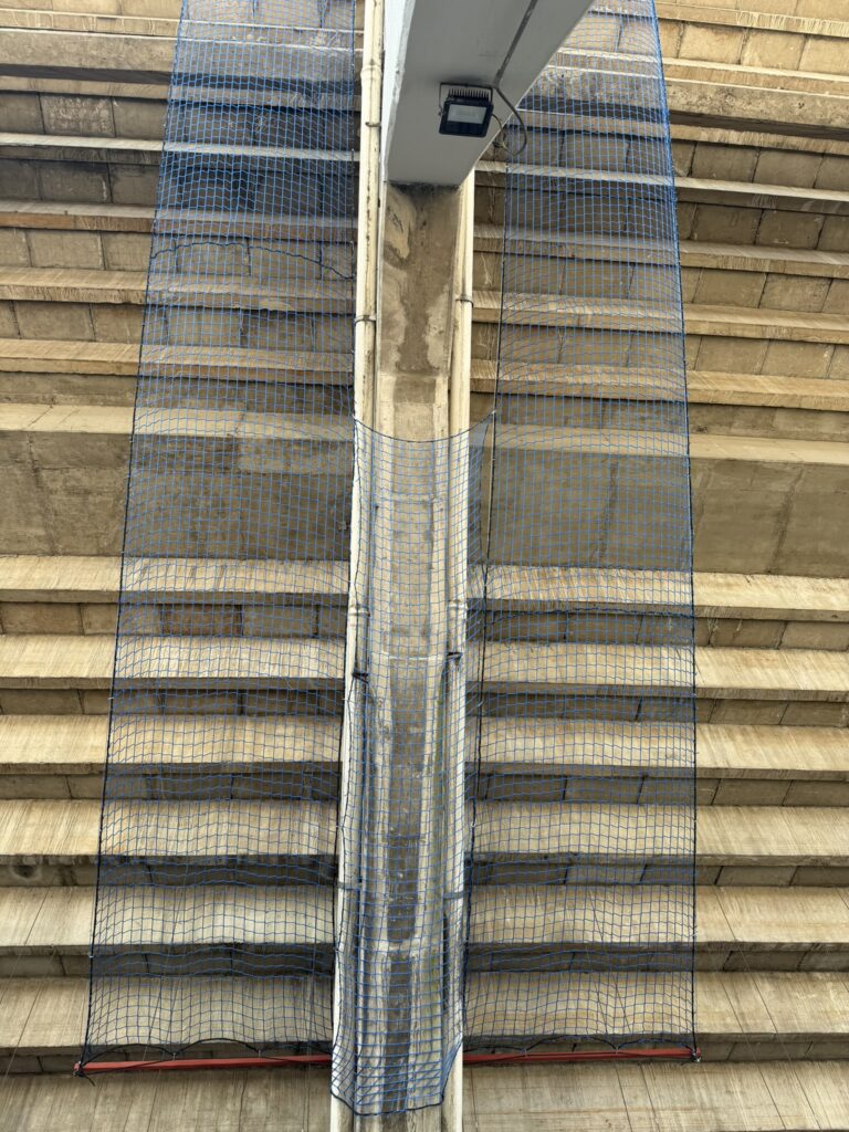 4B4D0704-E991-40BE-AF51-D14034F4A647_1_102_o-768x1024 Proyectos