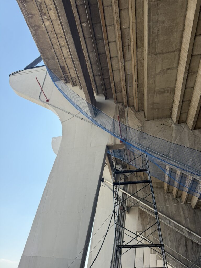 9C2E9861-6F30-433F-A66F-54B8847B3388_1_102_o-768x1024 Proyectos